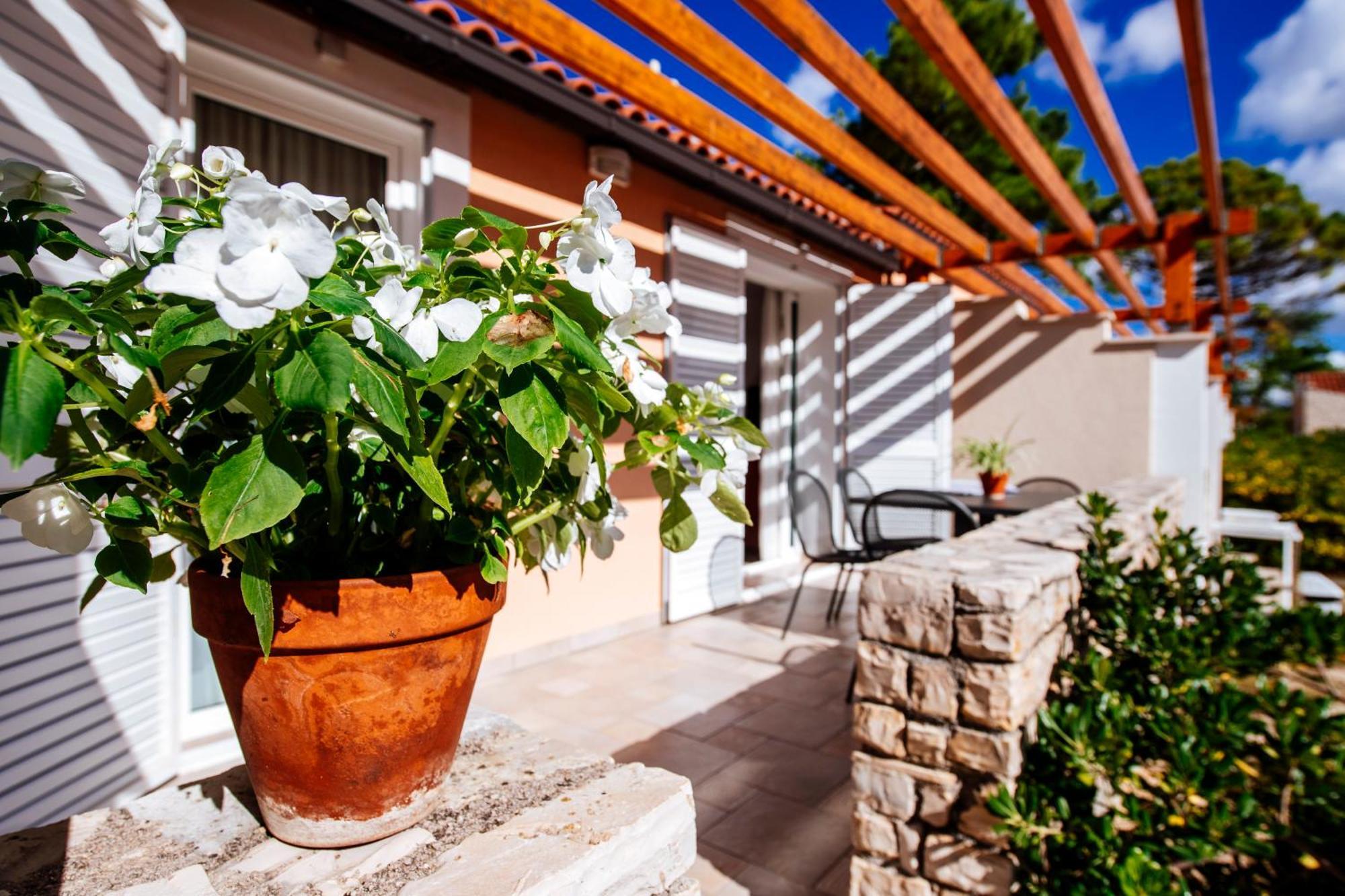 Zaton Holiday Resort Nin Habitación foto