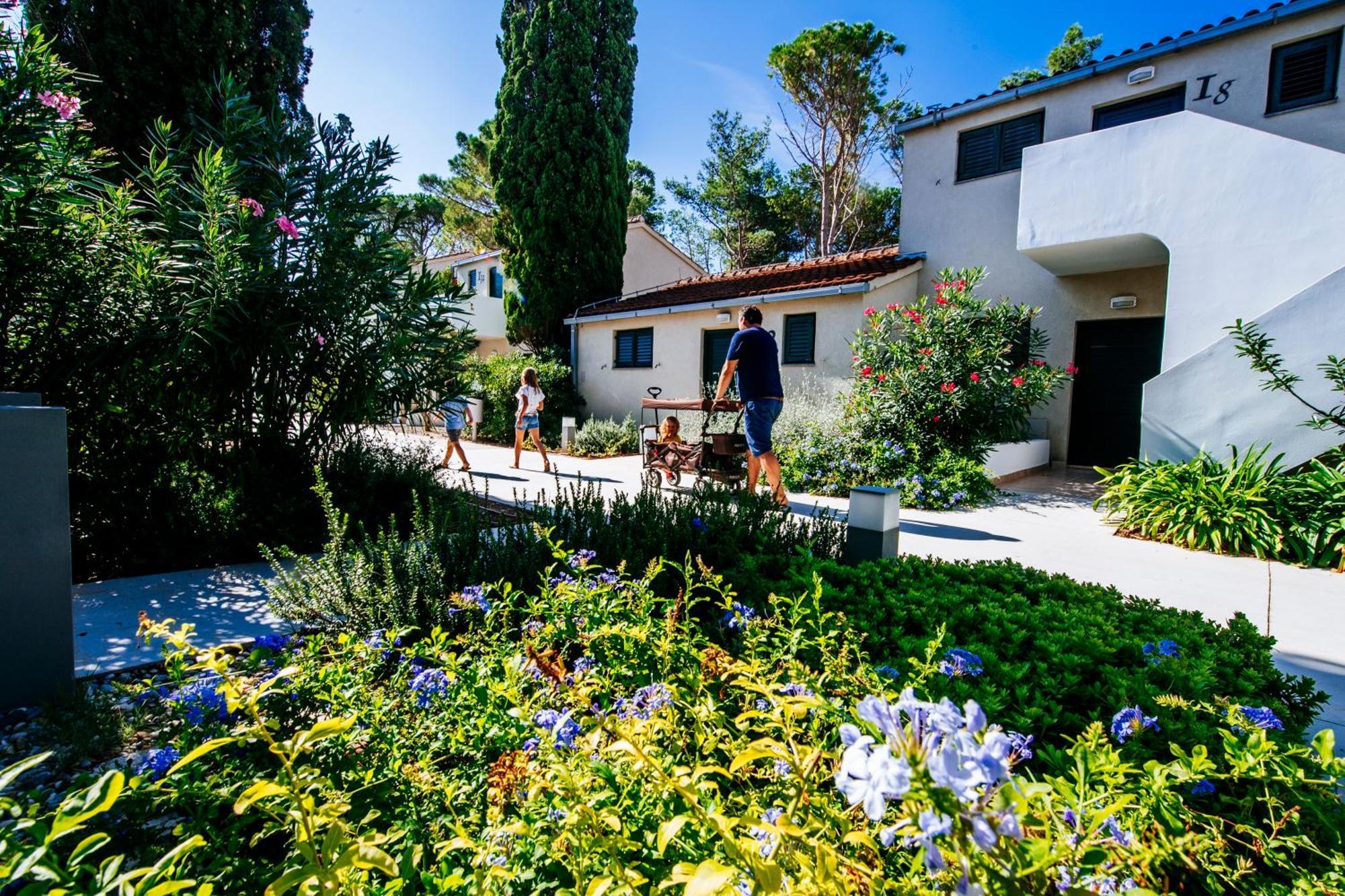 Zaton Holiday Resort Nin Habitación foto